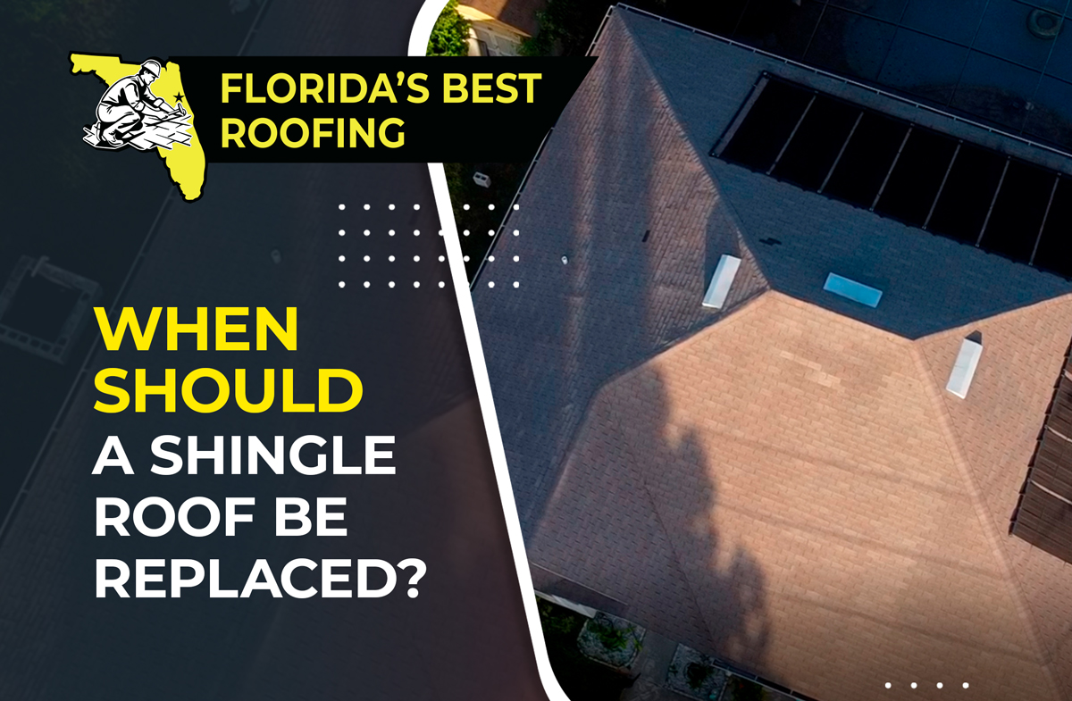 Shingle Roof Replacement