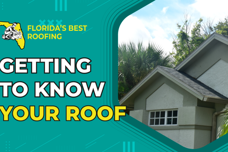 Getting to Know Your Roof