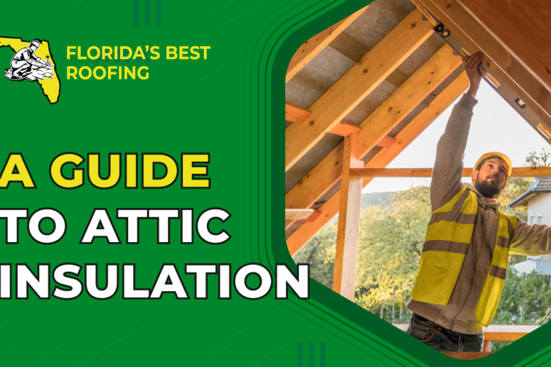 Attic Insulation