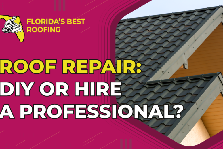 Roof Repair: DIY or Hire a Professional?