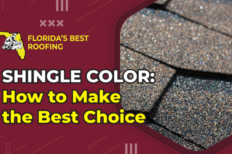 Shingle Color: How to Make the Best Choice