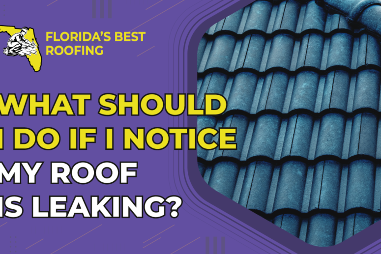 What Should I Do If I Notice My Roof is Leaking