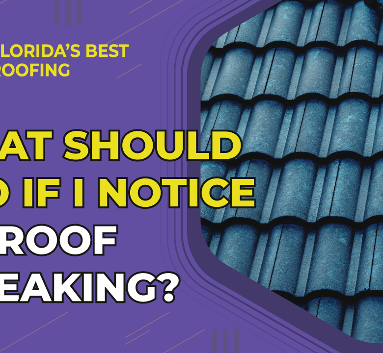 What Should I Do If I Notice My Roof is Leaking