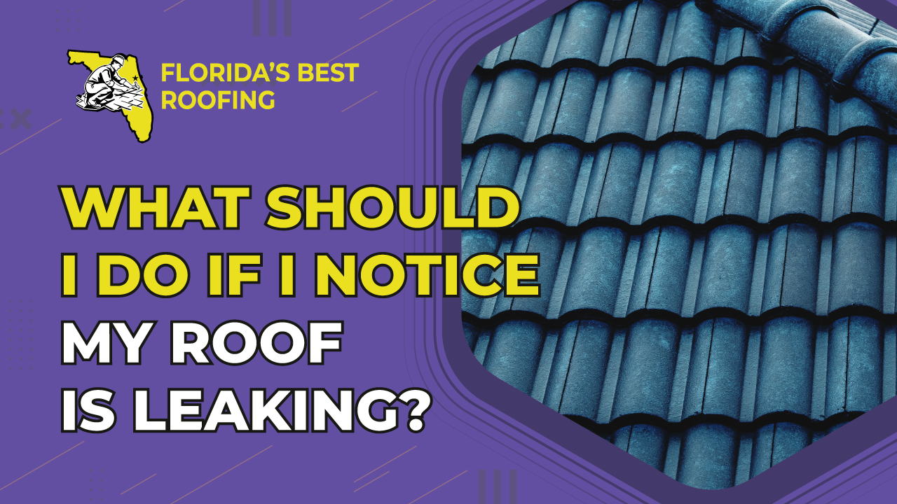 What Should I Do If I Notice My Roof is Leaking